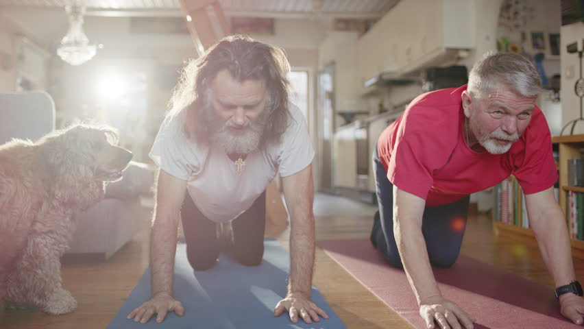 Two senior men doing bird dog yoga exercises interfered with by cute pet dog