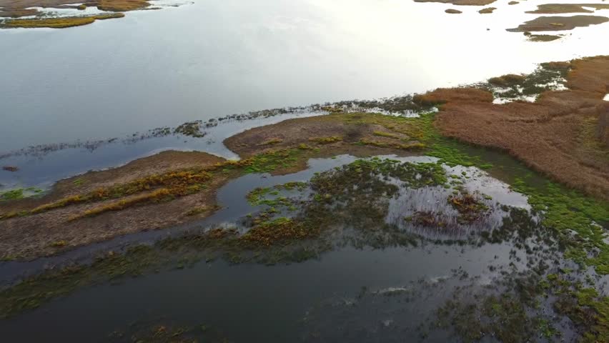 Aerial view of the wetlands and lake found in the Sherburne National Wildlife Refuge. The pine cones stand out in the vegetation of the area.
