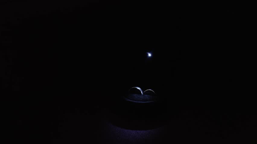 close-up of the wedding rings of the bride and groom before the outdoor ceremony lie on the table and are watered with drops of perfume and eau de parfum