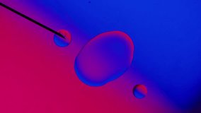  drops from a needle on a blue-red gradient background. High resolution footage 4k. - Powered by Shutterstock - Get 15% off with code: PIKWIZARD15