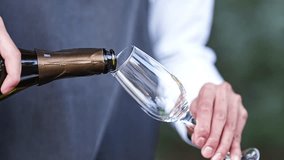 close-up. the waiter's hands with a glass and a bottle of champagne. Sparkling wine is poured into a glass. A traditional drink for special events. - Powered by Shutterstock - Get 15% off with code: PIKWIZARD15