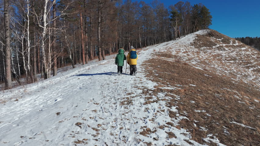 Children hiking on snowy hill in winter forest
