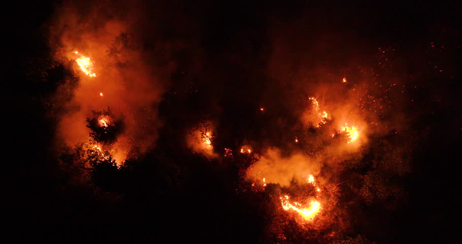 Top down aerial above burning trees, nighttime forest fire spreading in the woods