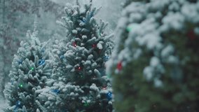 Outdoor Christmas tree decoration lights globe snow winter cold weather spruce evergreen - Powered by Shutterstock - Get 15% off with code: PIKWIZARD15