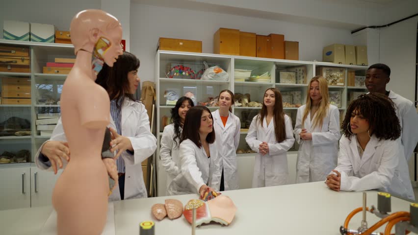 Medical students learning anatomy with teacher and anatomical model