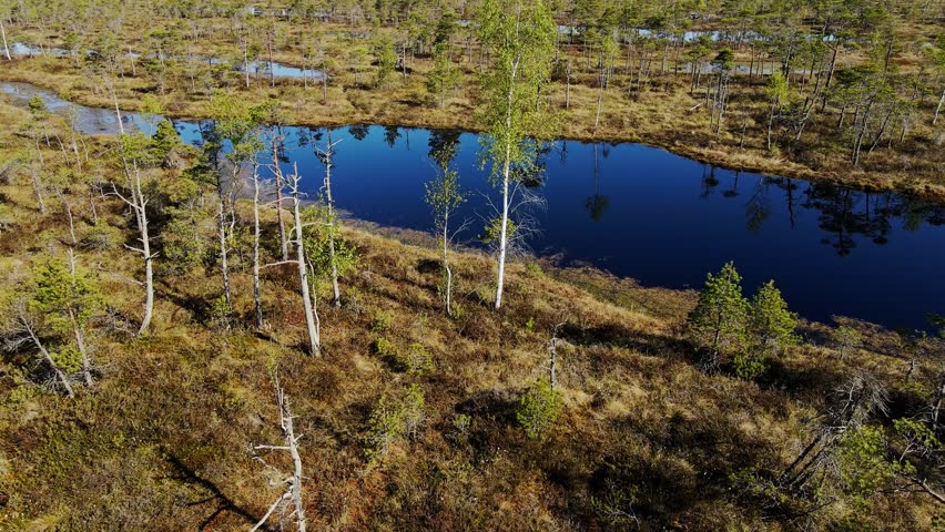 Great Kemeri Bog, Marshland, blue reflective pools and golden bog vegetation, 4K
