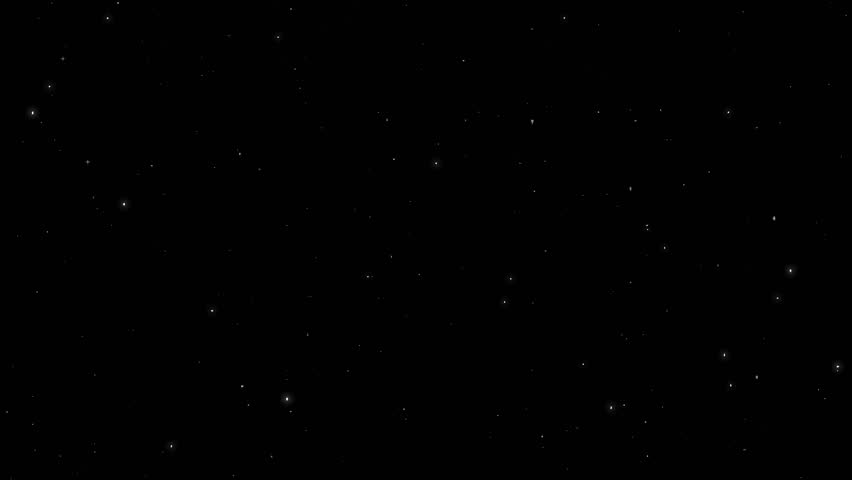 Shutterstock Video