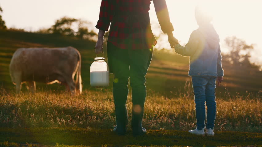 Farmers family in countryside, back view of woman with milk canister and child. Calm morning in farm, eco and organic food production, farming natural food, rear view of young mother and daughter