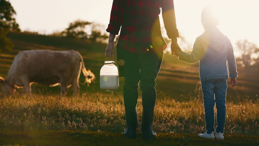 Farmers family in countryside, back view of woman with milk canister and child. Calm morning in farm, eco and organic food production, farming natural food, rear view of young mother and daughter