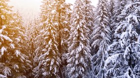 It's a winter wonderland. Flying over a fresh snow covered forest in Oregon - Powered by Shutterstock - Get 15% off with code: PIKWIZARD15