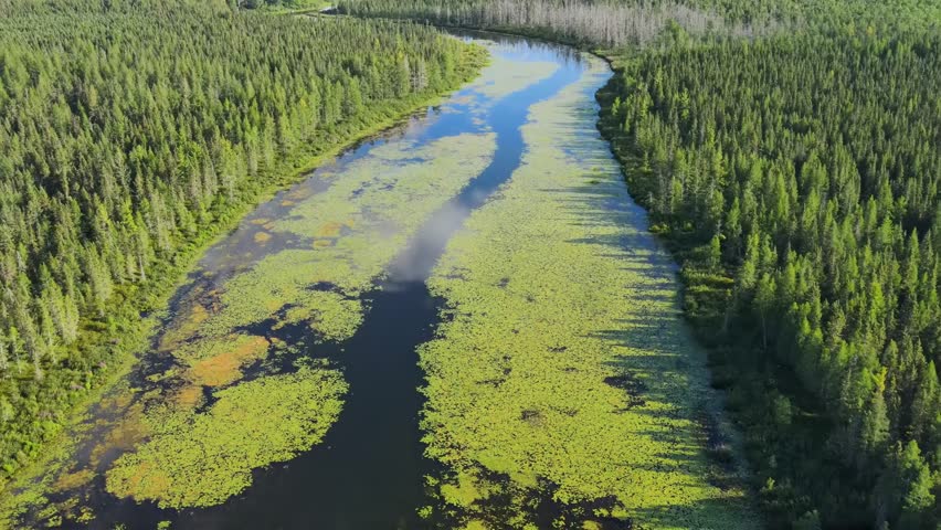 Flying over a river and forest in Northern Minnesota.