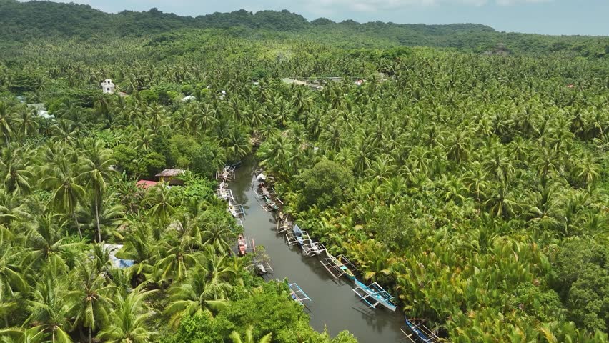 Eastern Samar, Philippines: Aerial View of River, Boats, and Lush Coconut Palm Forest