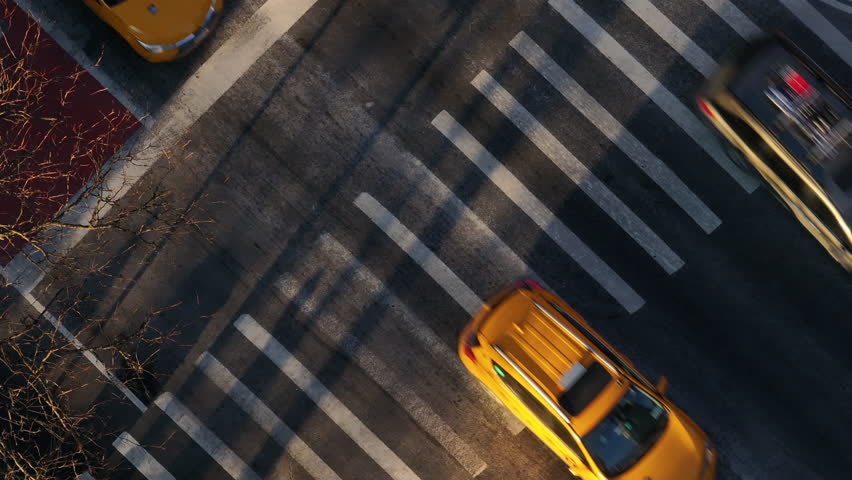 Shutterstock Video