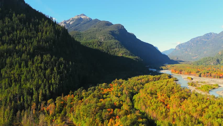Aerial view of colourful forest on mountain slopes. Fall in Canada