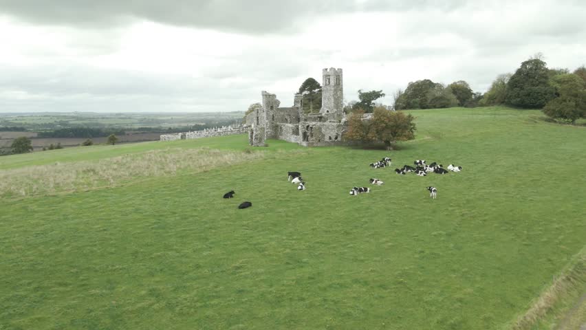The Hill of Slane ruins surrounded by green pastures with grazing cows on a cloudy day