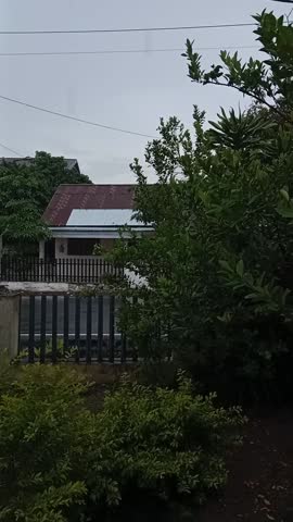 Rainy day at evening: From garden