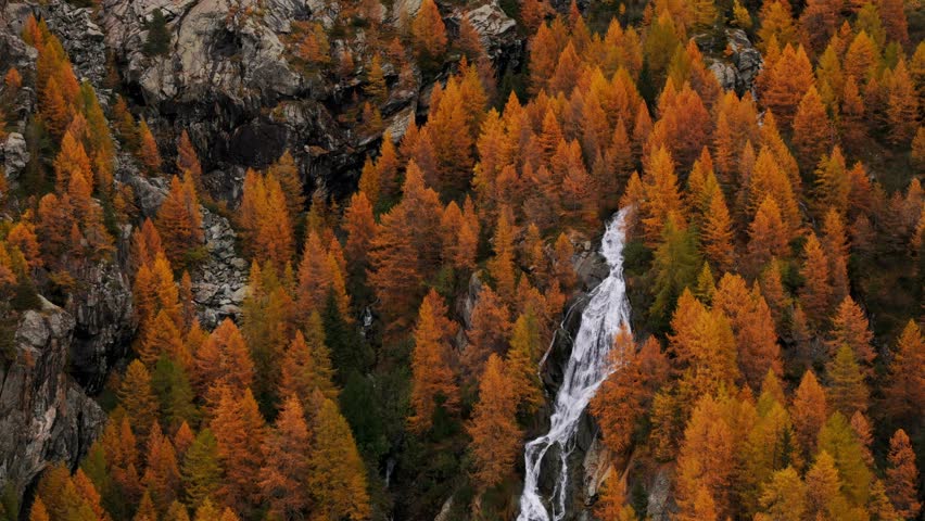 Waterfall, autumn season, foliage, fir, mountain, rocky wall. Aerial drone ascending