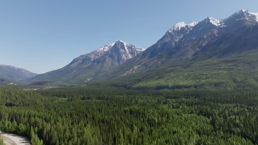 Drone panning left and turning right revealing tall, snowy mountains and a vast pine forest wilderness near Banff and Yoho National Park in Canada under a blue sky