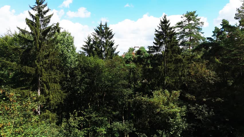 Ascending over green forest and medieval Kokorin castle reveal, Czechia
