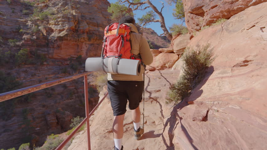 An adventurous African American male embarks on an exciting hiking journey in Zion National Park, proudly wearing a vibrant backpack while exploring the stunning landscape around him