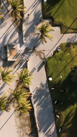 This aerial shot captures palm trees swaying, winding paths, and Miami Beachs lush greenery, showcasing Floridas vibrant and picturesque coastal landscape, known worldwide for its charm