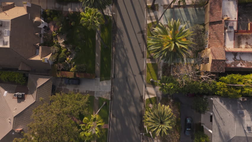 Aerial view shows the luxurious homes and iconic palm trees of Beverly Hills, highlighting its stunning landscaping, elegant architecture, and unique charm that enhances the areas appeal