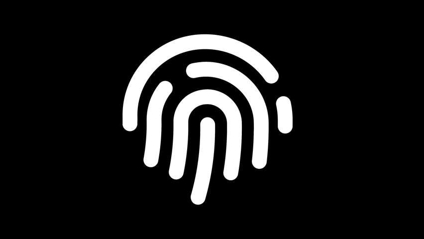 Shutterstock Video