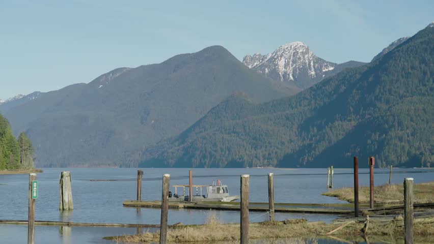 A drone footage of Pitt Lake with lush forested hills and dried vegetation around in autumn