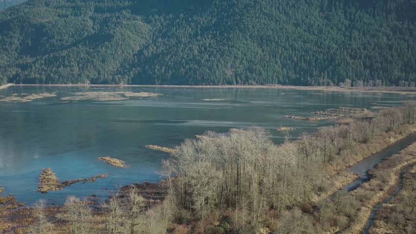 A drone footage of Pitt Lake with lush forested hills and dried vegetation around in autumn