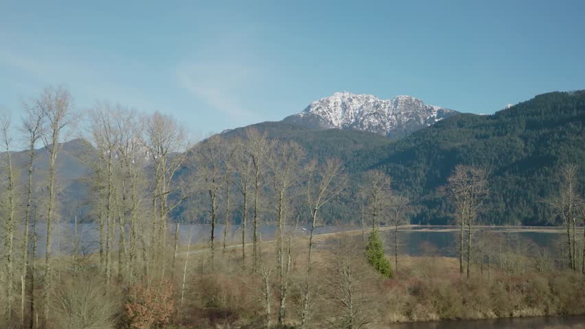 A drone footage of Pitt Lake with lush forested hills and dried vegetation around in autumn