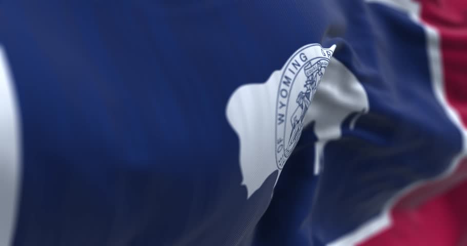 Close-up of Wyoming state flag waving in the wind. White Bison silhouette. Seamless 3d render animation. Slow motion loop. Selective focus
