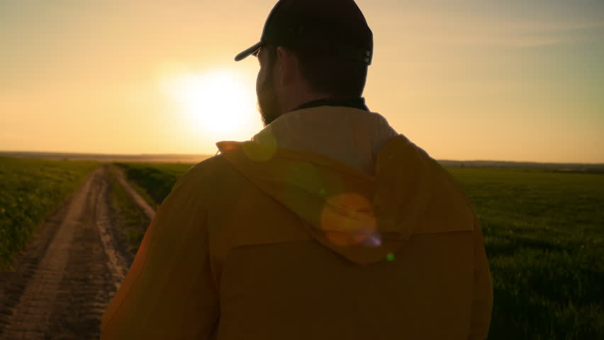Sunset or sunrise above farmland, successful farmer walking alone in fields. Professional agronomist or agricultural engineer viewing farmland, agroindustrial complex, beautiful landscape in summer