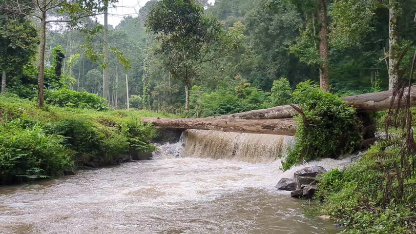 Peaceful river with a mini waterfall surrounded by dense, green forest. A perfect nature escape.