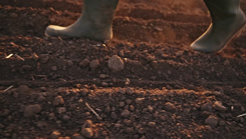 Farmer walking through tilled agricultural field in sunset, close up of rubber boots, low angle view, 4K slow motion with selective focus