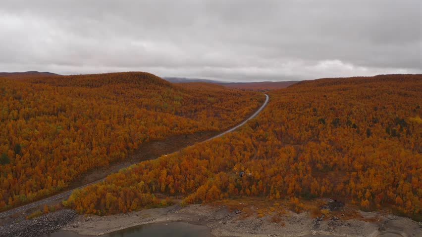 Winding road through autumn trees in Vestarelen, Norway on an overcast day
