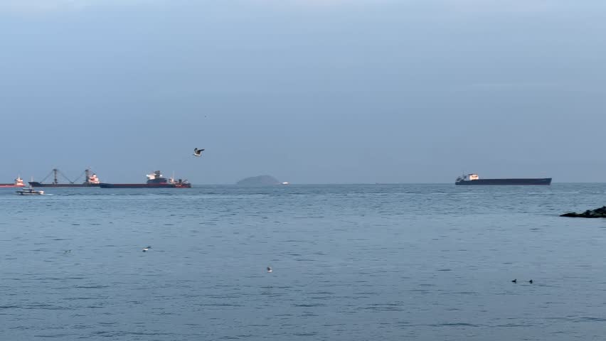 Stunning Aerial Flight Over Istanbul: Bird Gliding Above Marmara Sea with Cargo Ships