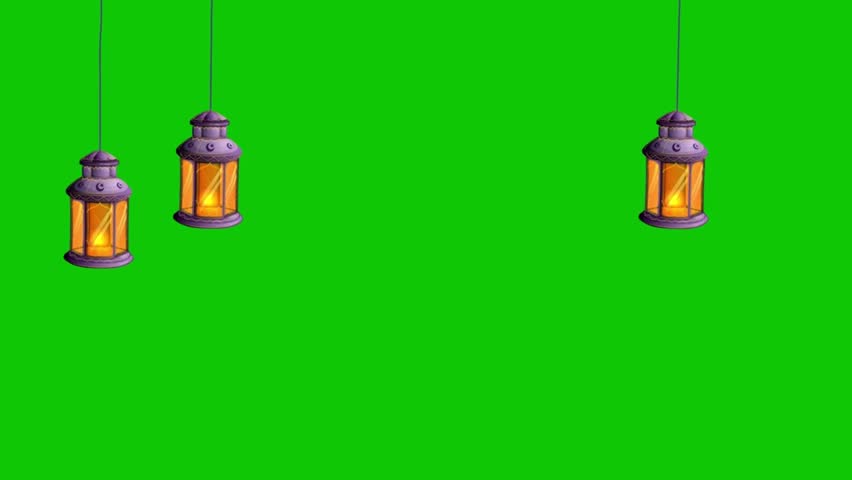 Shutterstock Video