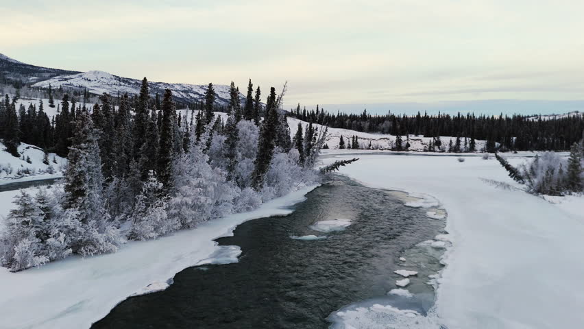 Ice-covered Takhini River And Trees In Winter In Yukon, Canada. - aerial shot