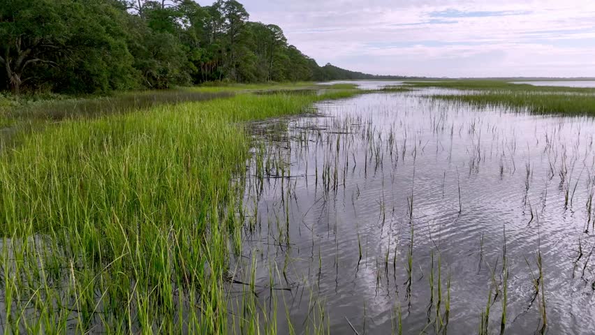 aerial of spartina grass along south carolina coastline near beaufort sc, south carolina not far from fripp island sc
