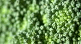 Macro details of a broccoli floret with a quick focus pull.