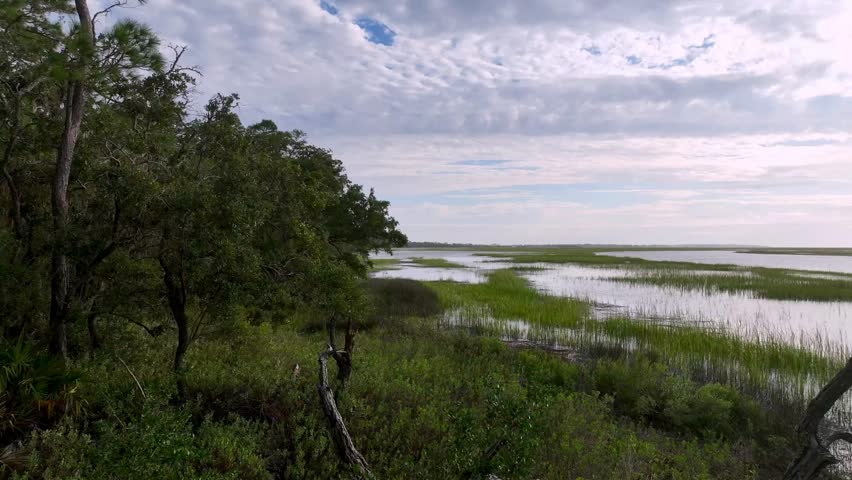 Coastal swamp and marshland area near Beaufort SC and Fripp Island SC, South Carolina