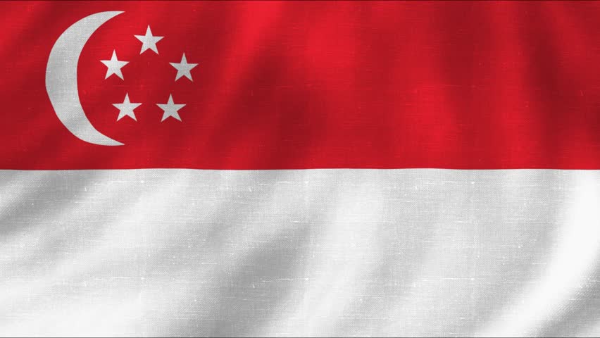 Singapore flag wavy animation with fabric texture. 4K quality footage