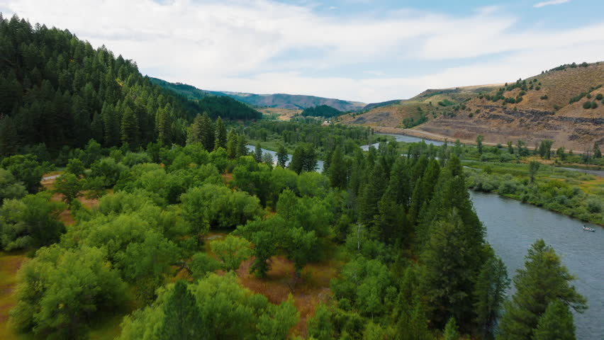 Flying over a picturesque river surrounded by lush forests, bathed in the warm glow of the summer sun, showcasing vibrant green scenery.