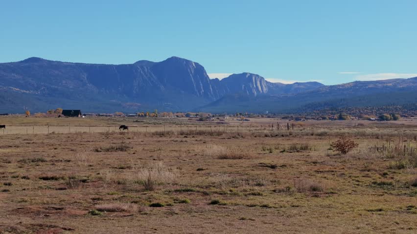 Mountainous New Mexico landscape with grazing animal and vast open fields