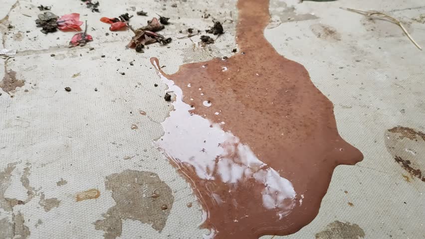 Paan gutka spitting stock video footage 4K