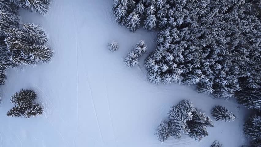  Snowy Landscape with Frosted Trees from Above