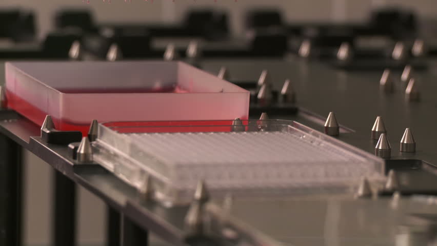 Close view of dozens of automated pipettes transferring liquid with a high-tech