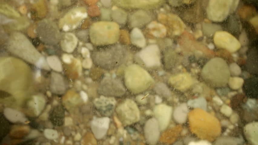 Detail as water washes in and out over pebbles on the shore. Focus on the