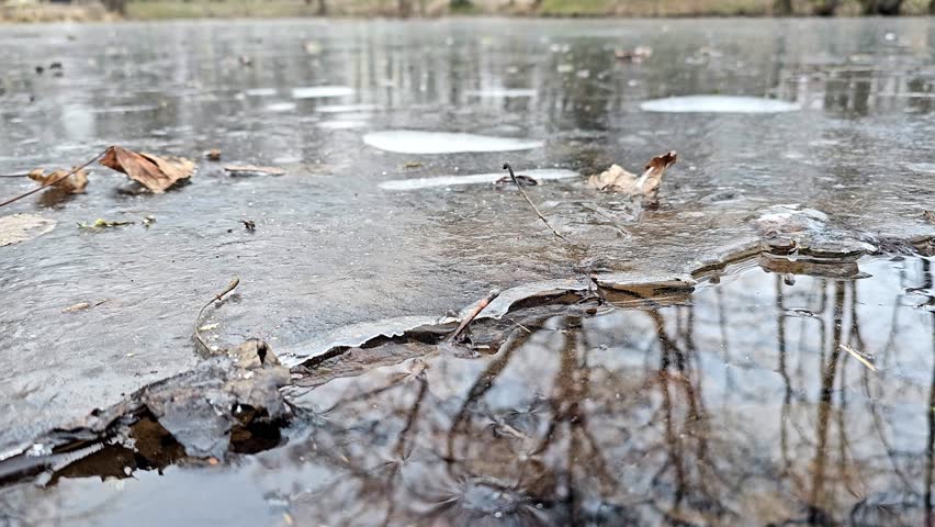 beginning of spring, thaw, hidden lake, melt water, ice on the lake in spring, forest