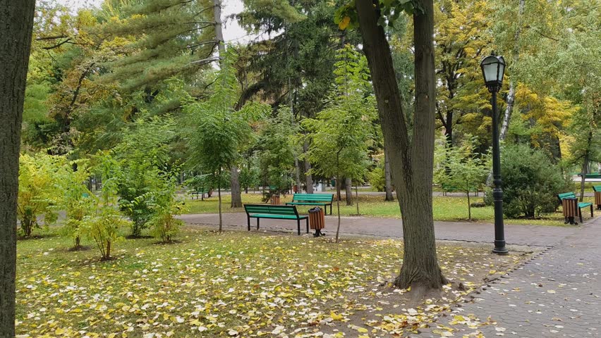 Rainy autumn season morning in the empty city park. Beautiful view and silence, colorful leaves fallen on the ground and trails of Stephen III The Great square in Chisinau, Moldova.